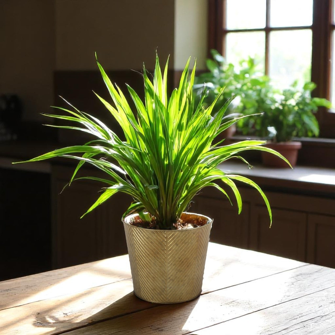 Gold Antique Wash Zinc Planter