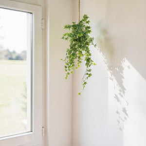 Artificial Ivy Hanger 64cm
