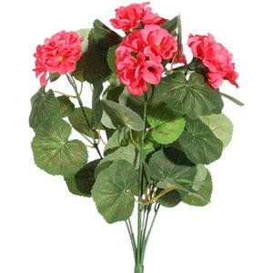Dark Pink Geranium Bush 40cm
