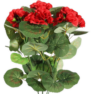 Red Geranium Bush 40cm