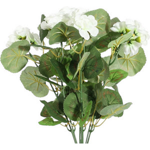 Cream Geranium Bush 40cm