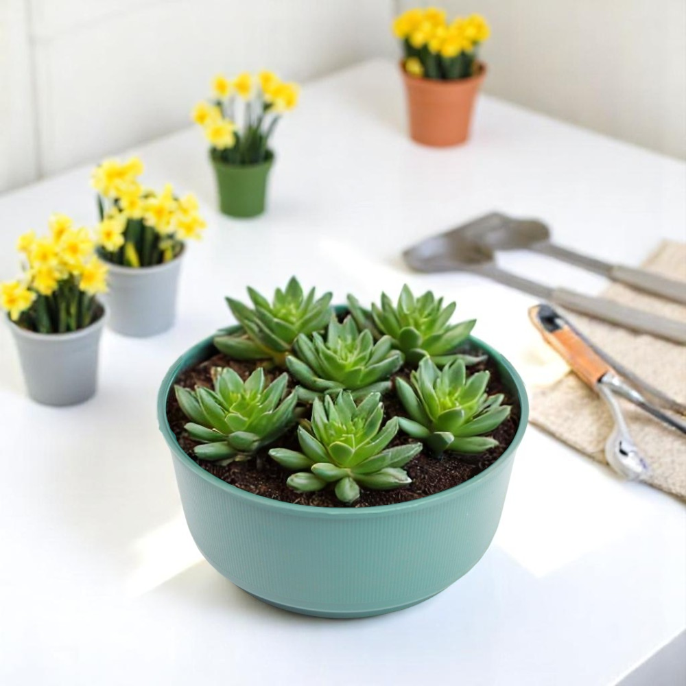 Pack of 5 Green Plastic Bulb Bowls - 24cm