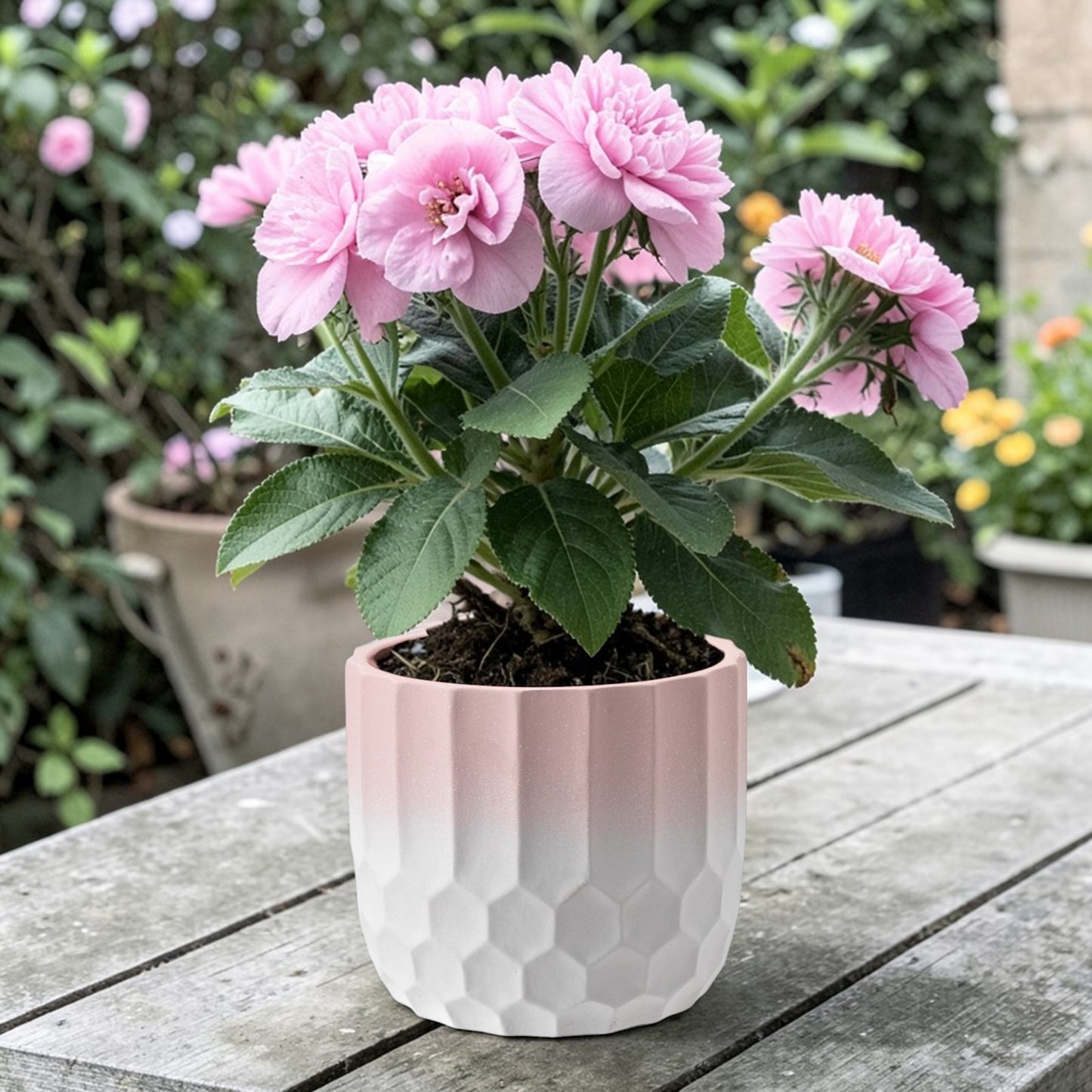 Ceramic Plant Pot Two Tone Ombre Finish Pink H15 x W17cm