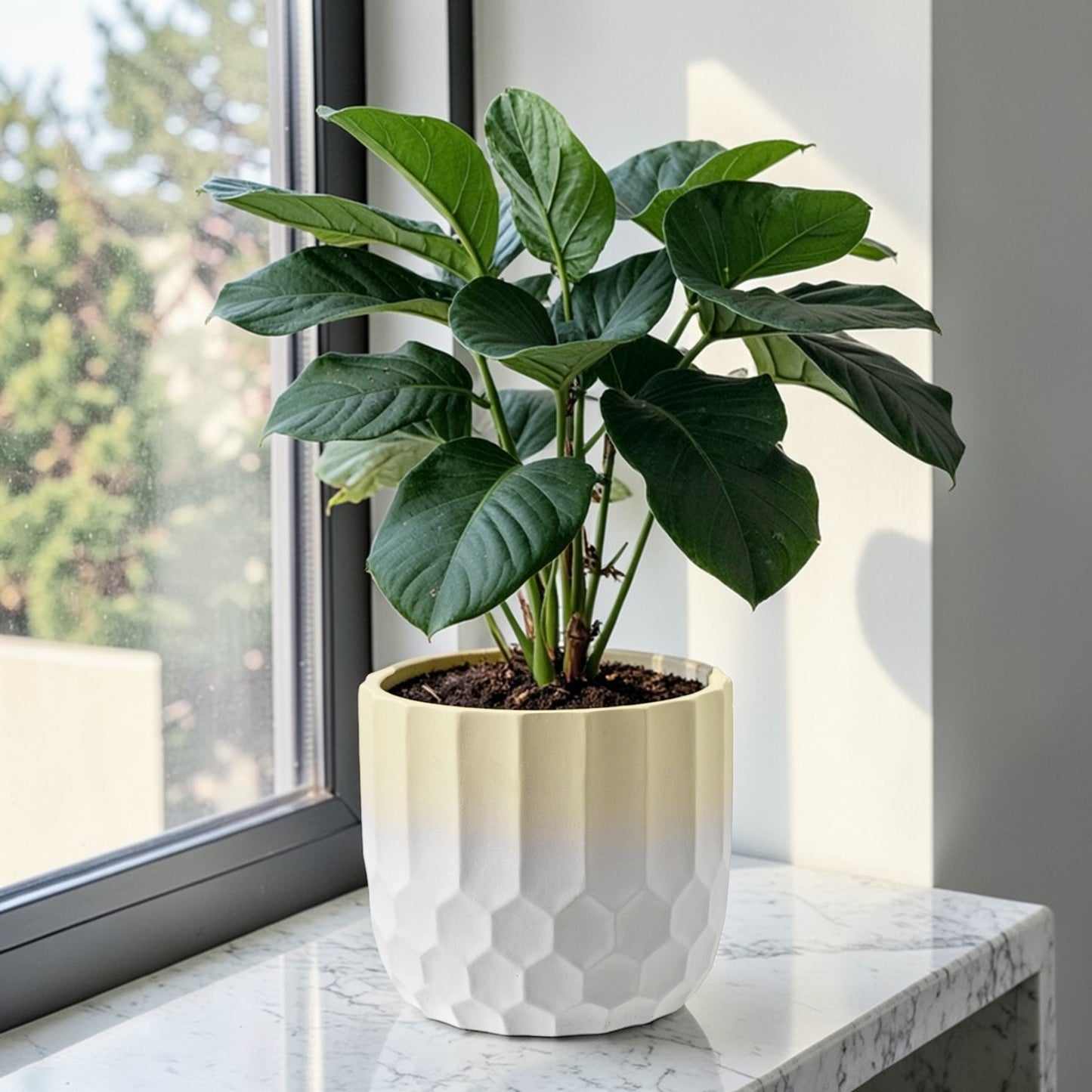 Ceramic Plant Pot Two Tone Ombre Finish Yellow H15 x W17cm