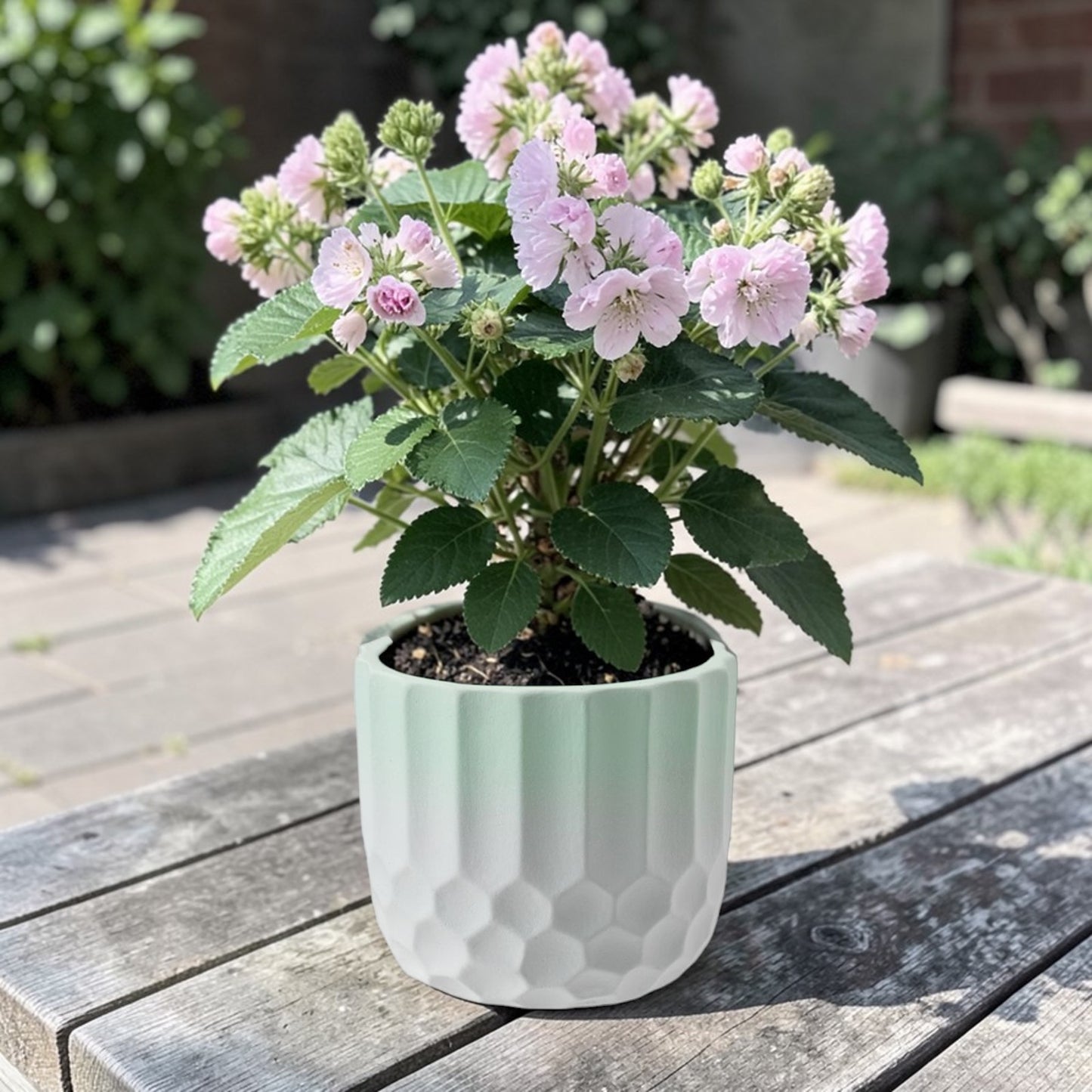 Ceramic Plant Pot Two Tone Ombre Finish Green H12 x W13.5cm