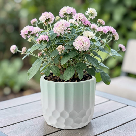 Ceramic Plant Pot Two Tone Ombre Finish Green H15 x W17cm
