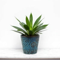 Artisan Blue Dandelion Embossed Ceramic Plant Pot 13.5cm