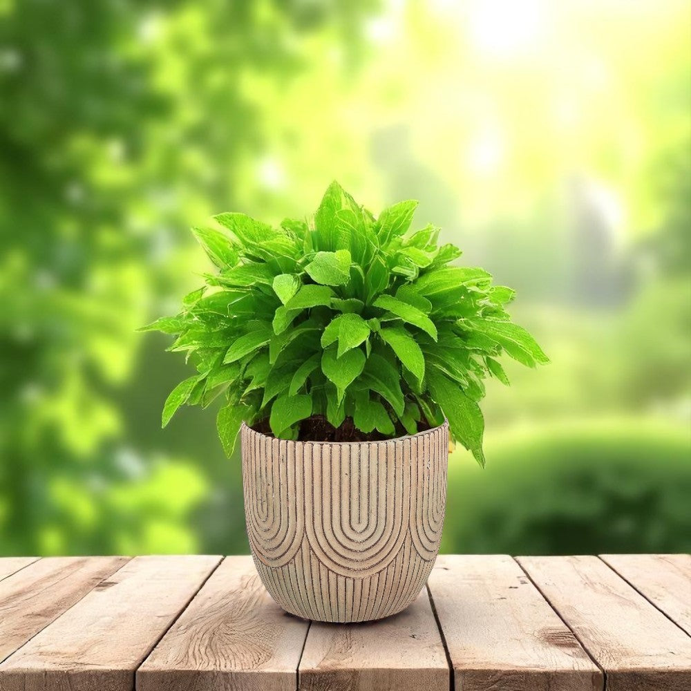Cement Art Deco-style Plant Pot (H12.5 x W13.5cm)