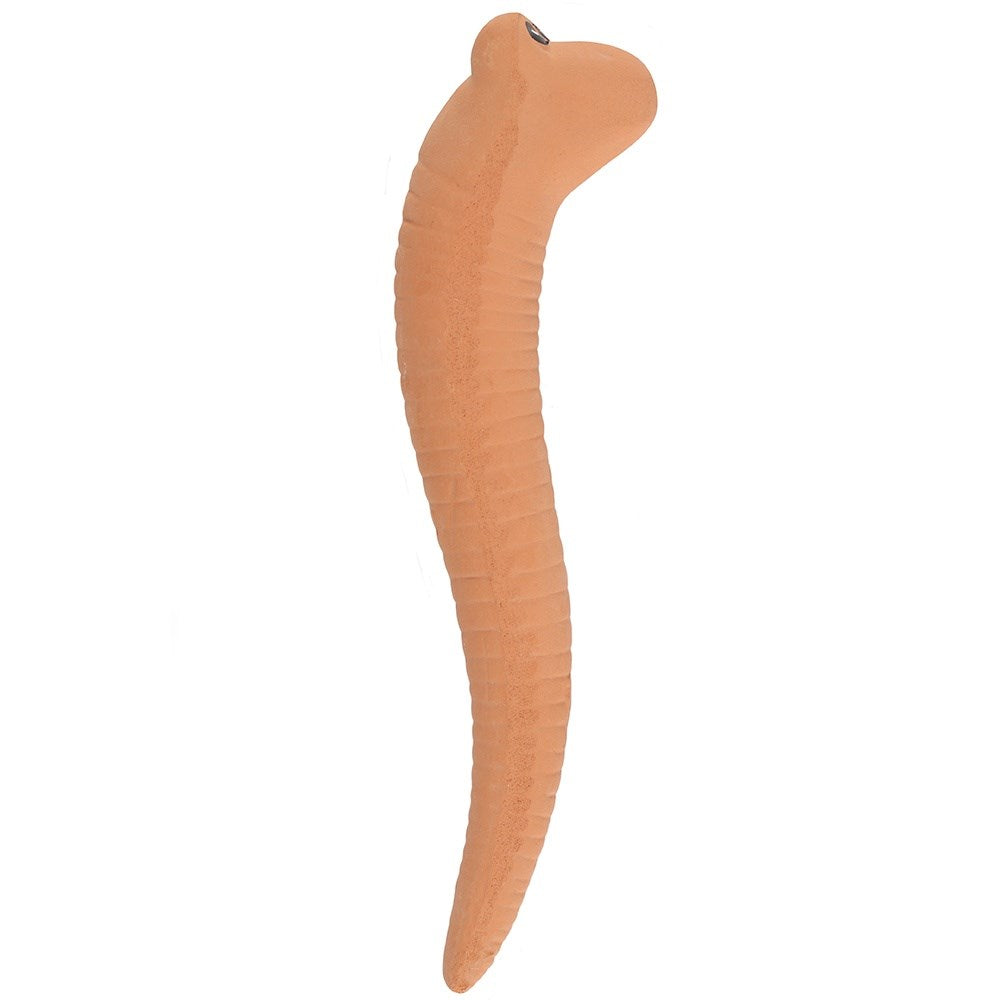 Willy the Terracotta Worm