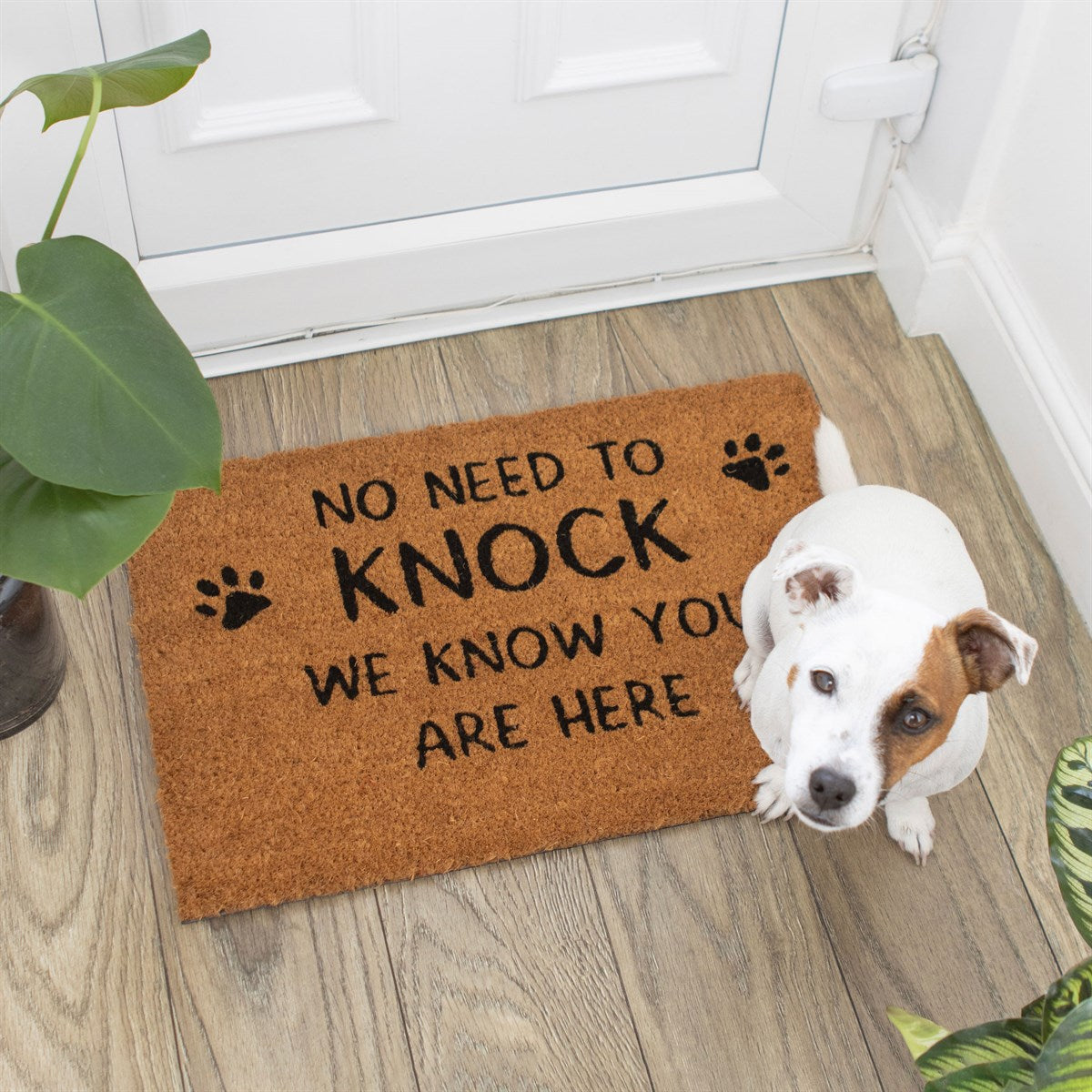 No Need To Knock Paw Print Coir Doormat