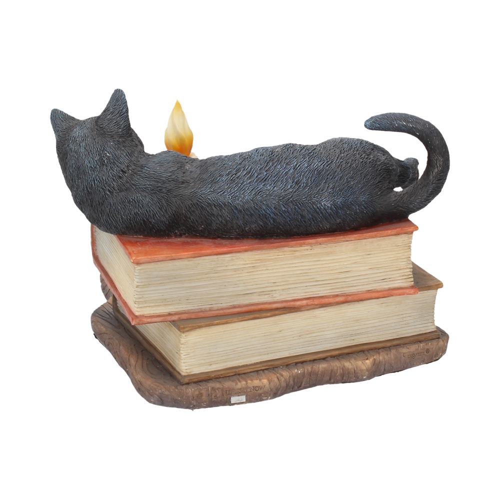 https://www.nemesisnow.com/media/catalog/product/b/2/b2801g6-7.jpg
