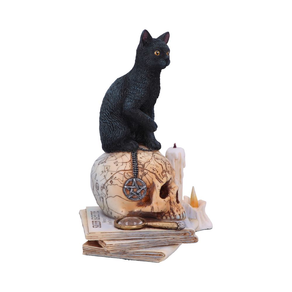 https://www.nemesisnow.com/media/catalog/product/b/5/b5314s0-7.jpg