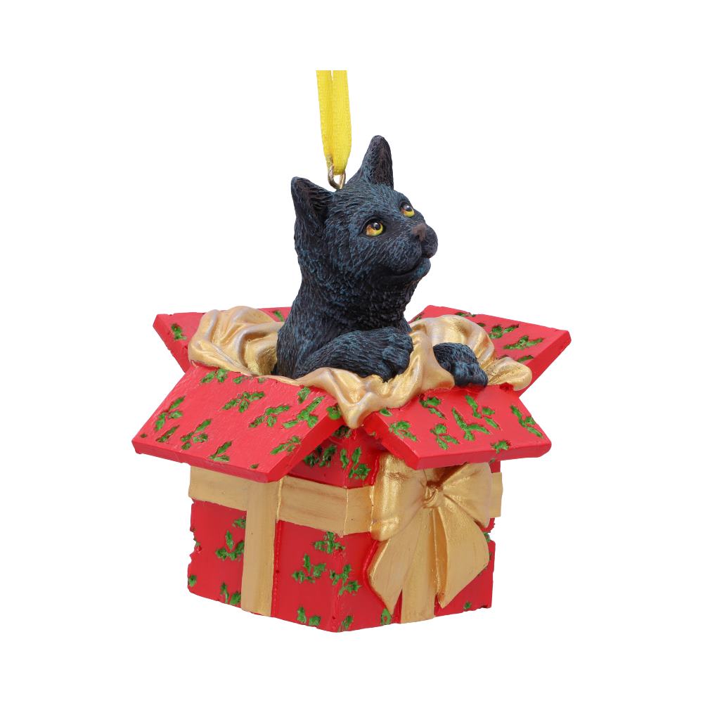 https://www.nemesisnow.com/media/catalog/product/b/5/b5784u1-7.jpg