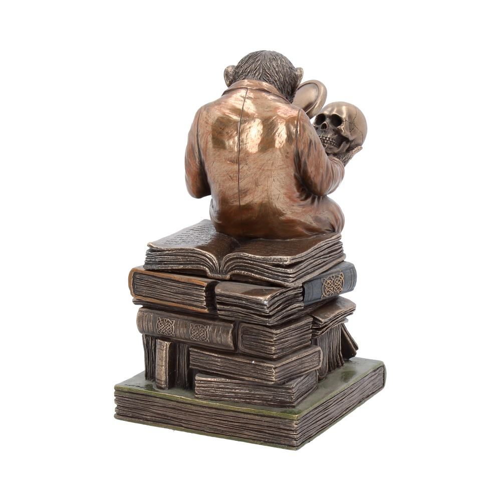 Darwinism of Evolutionary Theory Figurine 17.5cm