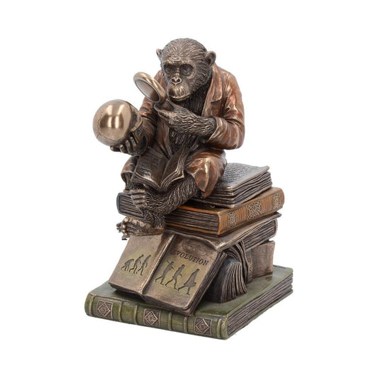 Darwinism of Evolutionary Theory Figurine 17.5cm
