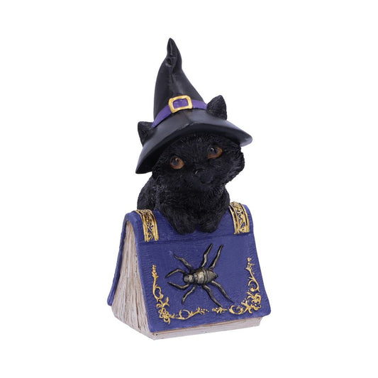 Pocus Witches Familiar Black Cat and Spellbook Figurine