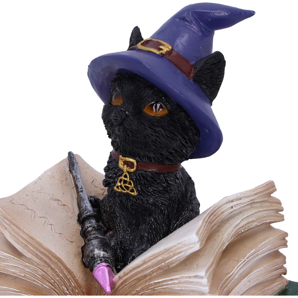 Binx Witches Familiar Black Cat and Spellbook Figurine Box