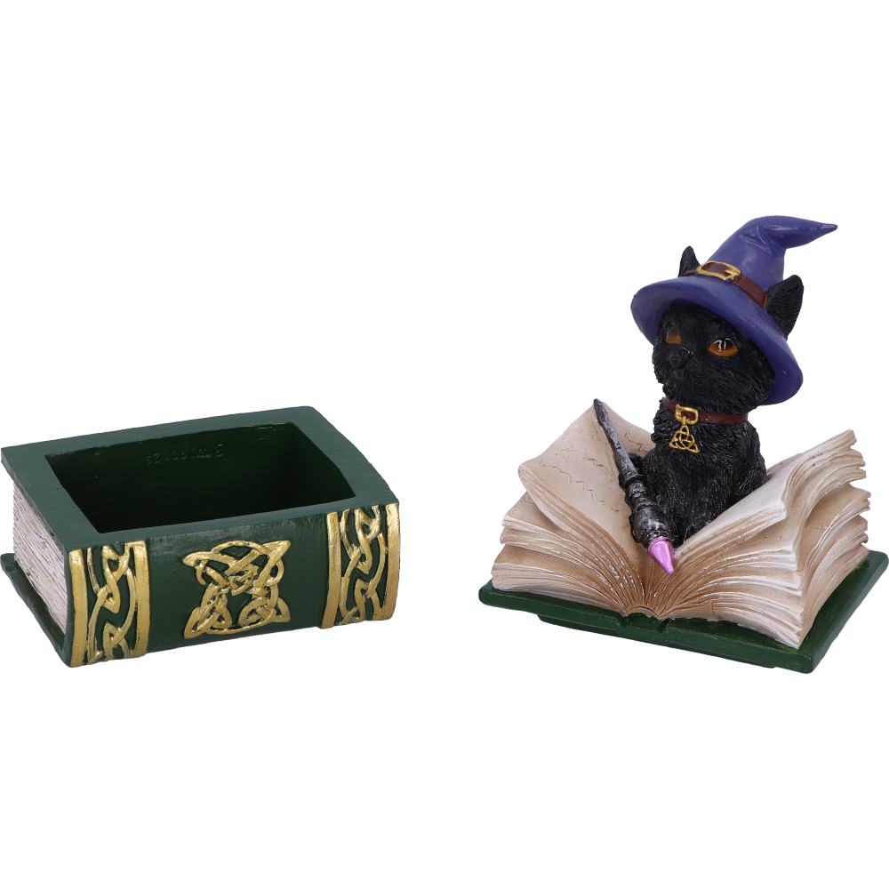Binx Witches Familiar Black Cat and Spellbook Figurine Box