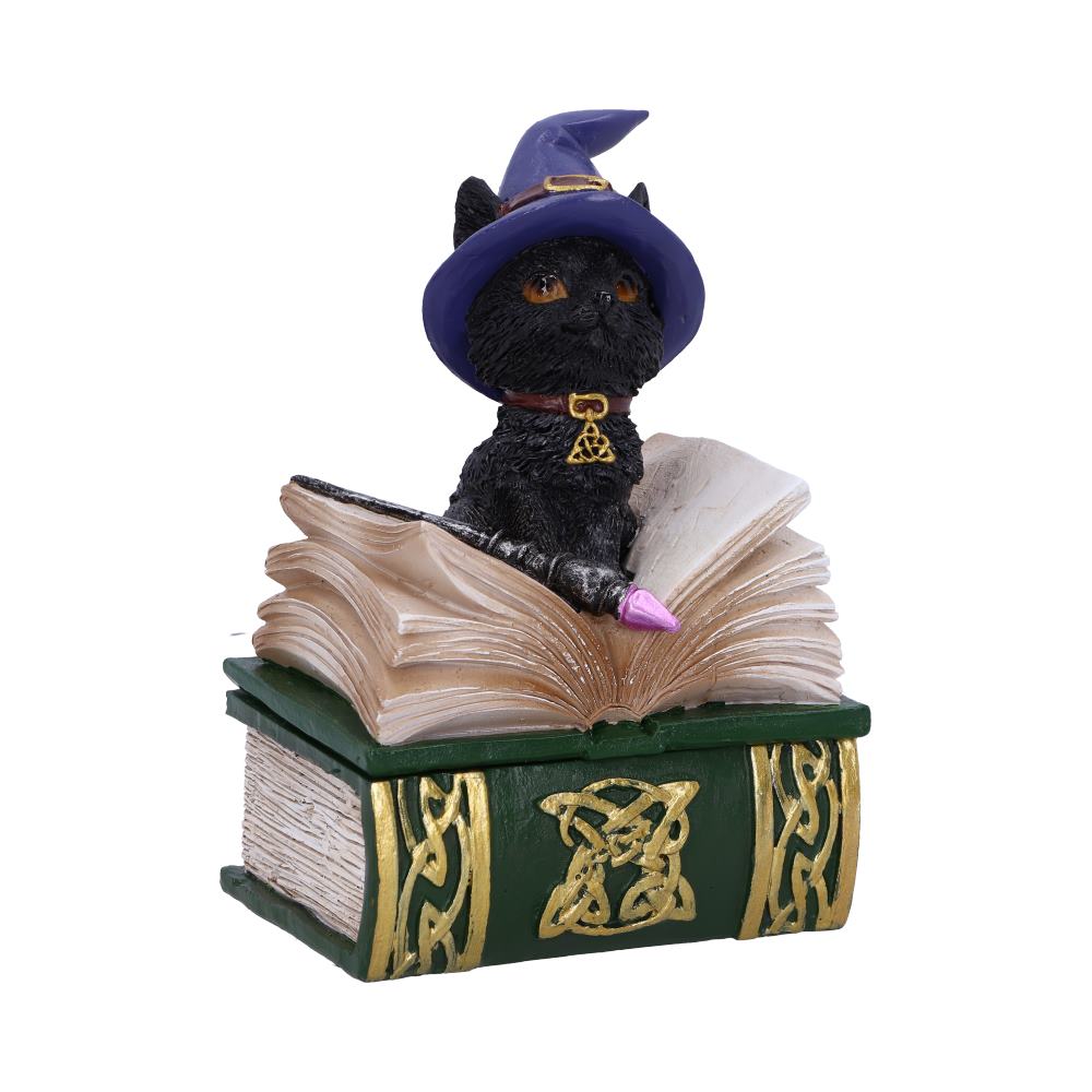 Binx Witches Familiar Black Cat and Spellbook Figurine Box