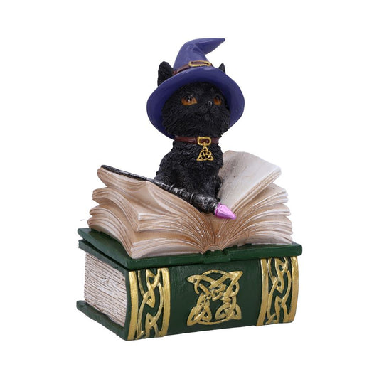 Binx Witches Familiar Black Cat and Spellbook Figurine Box