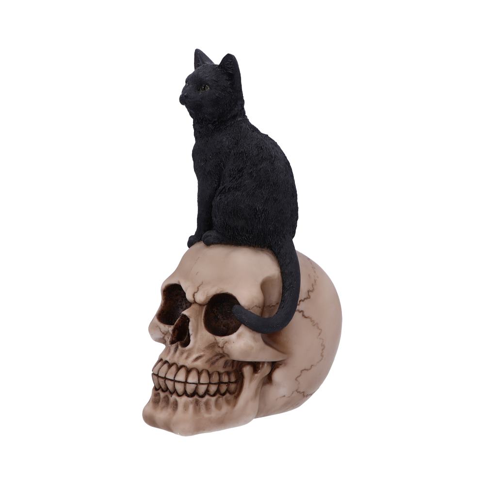 Familiar Fate Black Witches Cat and Skull Figurine