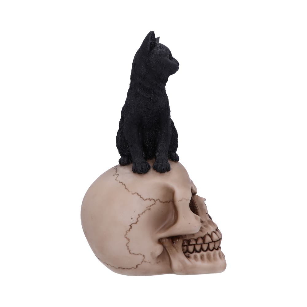 Familiar Fate Black Witches Cat and Skull Figurine