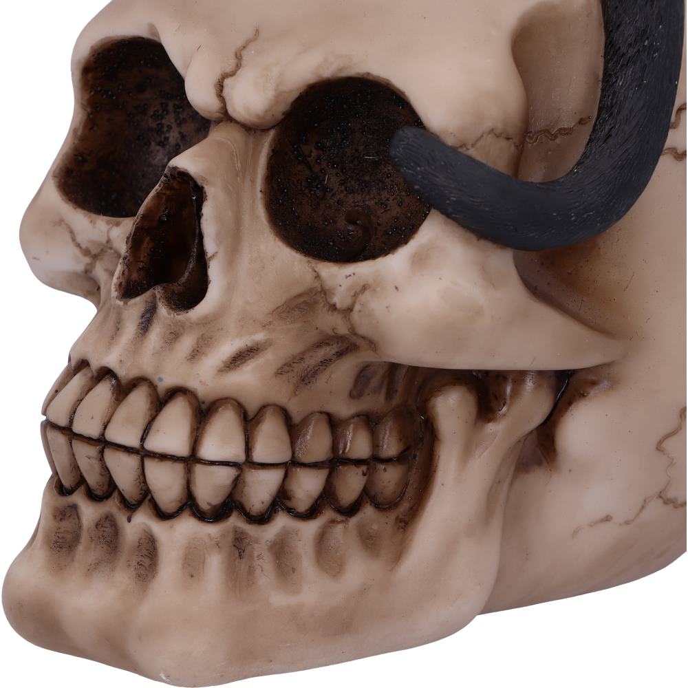 Familiar Fate Black Witches Cat and Skull Figurine