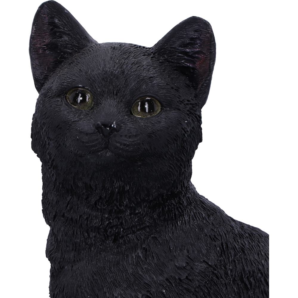 Familiar Fate Black Witches Cat and Skull Figurine