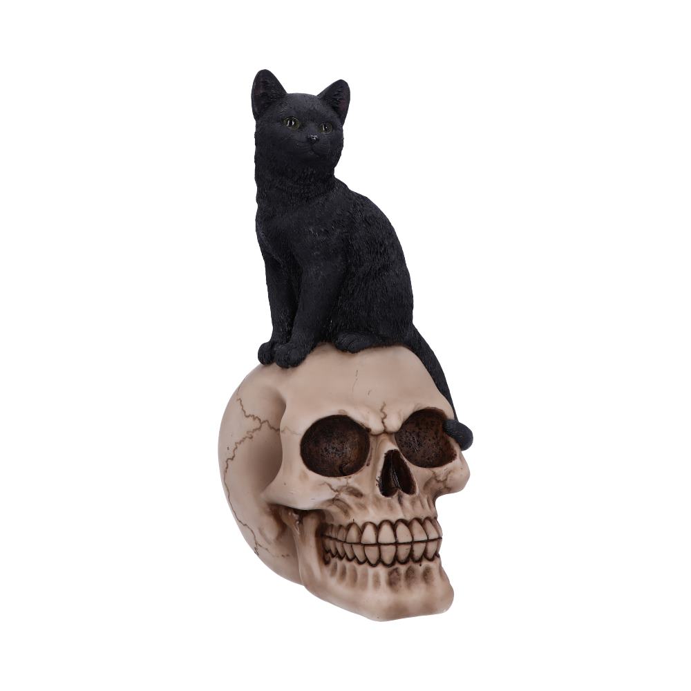 Familiar Fate Black Witches Cat and Skull Figurine