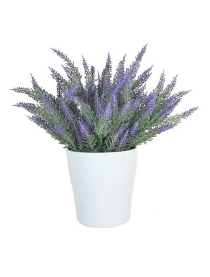 Potted Purple Heather Bunch