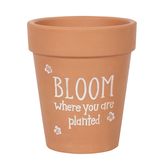 Terracotta Plant Pot "Bloom Where you are Planted"