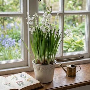 Artificial Lily of the Valley Potted Plant (25cm)
