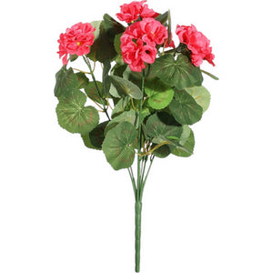 Dark Pink Geranium Bush 40cm