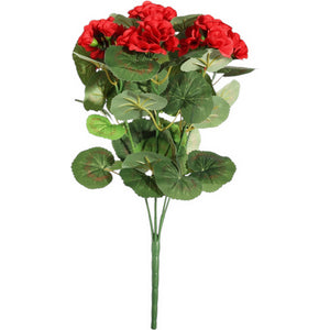 Red Geranium Bush 40cm