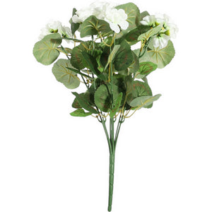 Cream Geranium Bush 40cm