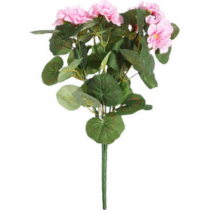 Pink Geranium Bush 40cm