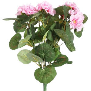 Pink Geranium Bush 40cm