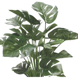 Artificial Split Philo Plant H46cm