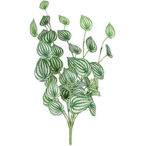 Artificial Variegated Peperomia Plant H68cm