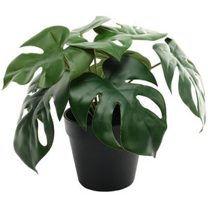 Artificial Monstera Potted Houseplant H23cm