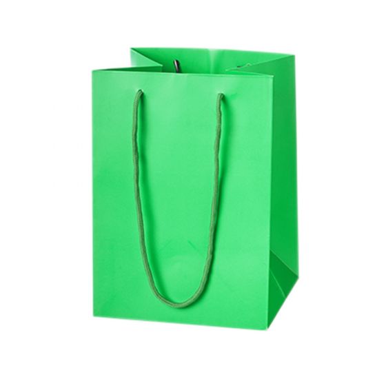 Handtied Gift Bag - Viva Green