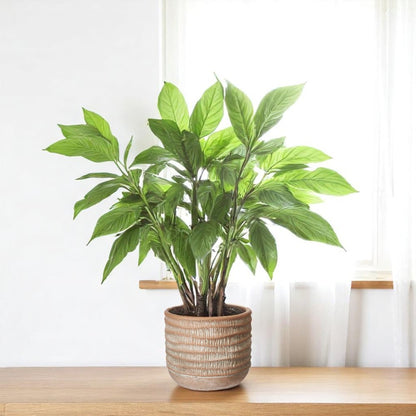 Sculptured Terracotta Colour Pot with a White Wash