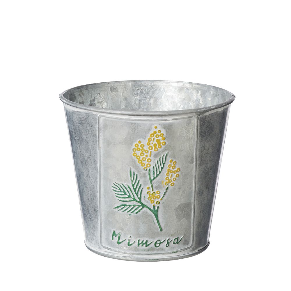 Zinc Mimosa Pot