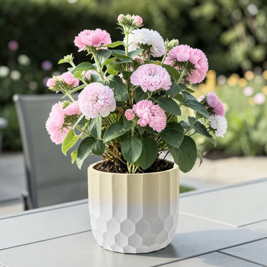 Ceramic Plant Pot Two Tone Ombre Finish Yellow H15 x W17cm