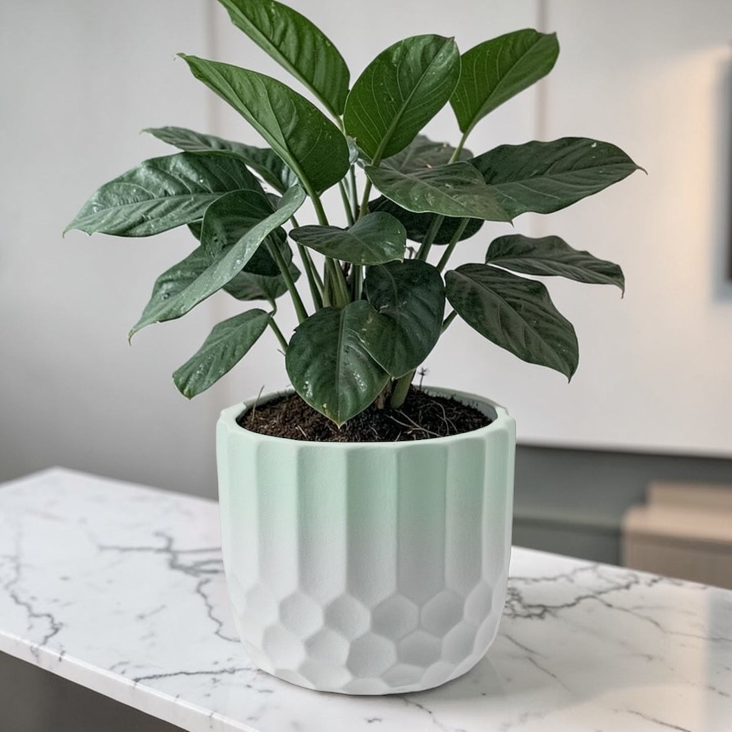 Ceramic Plant Pot Two Tone Ombre Finish Green H15 x W17cm