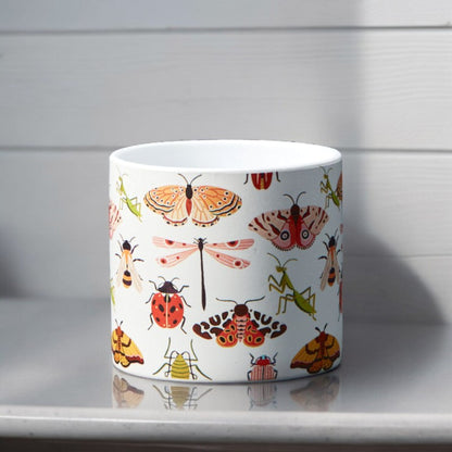 Ceramic Insect Pot - 12cm