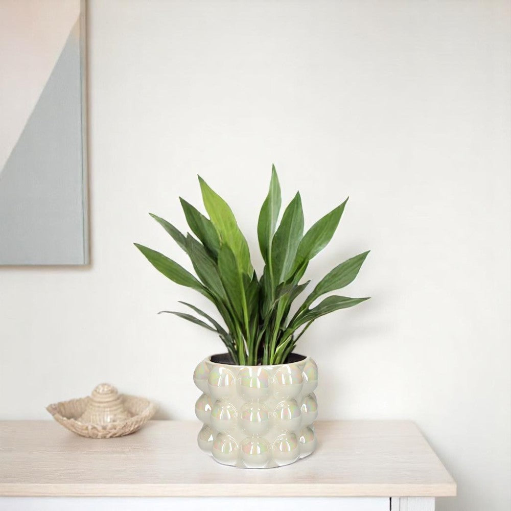 Pearl Finish Ceramic Bubble Pot - Sand