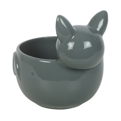 Cute Bat Bowl