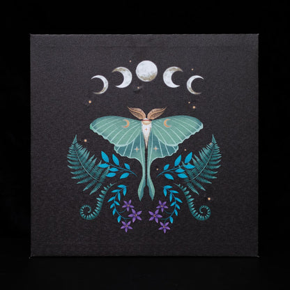 Luna Moth Light Up Canvas Plaque