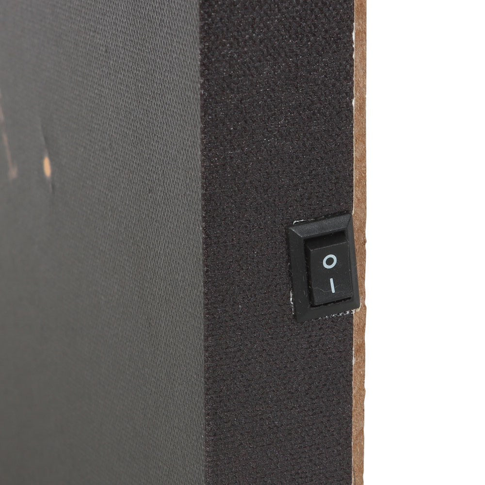 Luna Moth Light Up Canvas Plaque